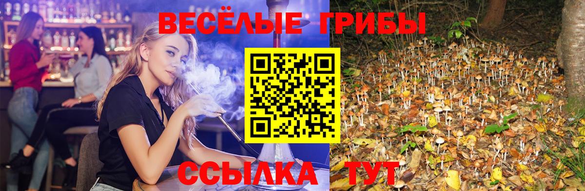 Псилоцибиновые грибы MAGIC MUSHROOMS Александров