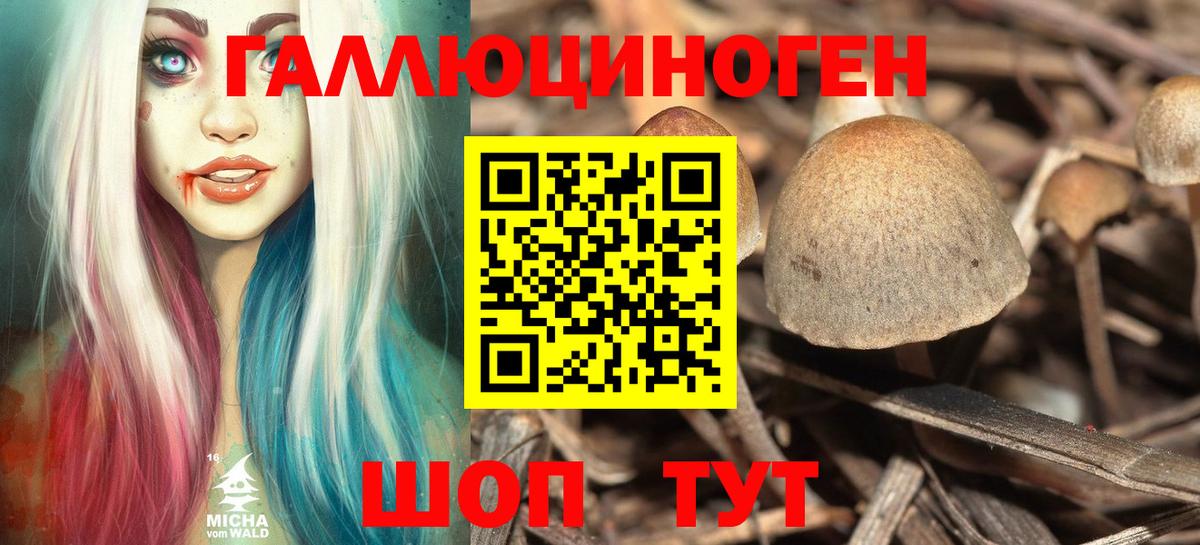 Александров  Псилоцибиновые грибы мицелий  Псилоцибиновые грибы Magic Shrooms  Вход с VPN 