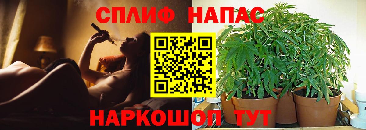 Марихуана Amnesia  Каннабис VHQ  Бошки марихуана ГИДРОПОН  Александров  Вход с VPN  Марихуана ГИДРОПОН 
